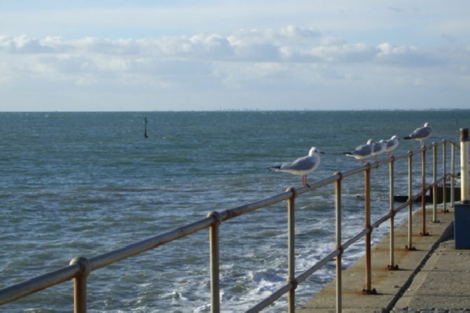 Selsey Electric Heating 