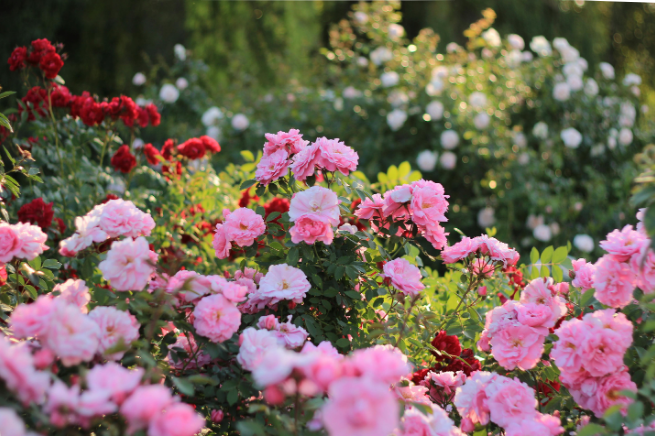 Do You Need Heating On in Warm Weather? UK Home Heating Tips