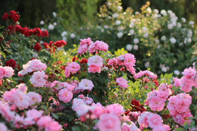 Do You Need Heating On in Warm Weather? UK Home Heating Tips